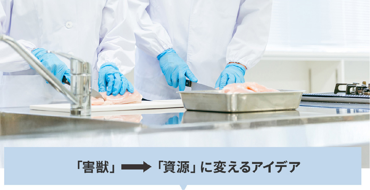 害獣→資源に変えるアイディア