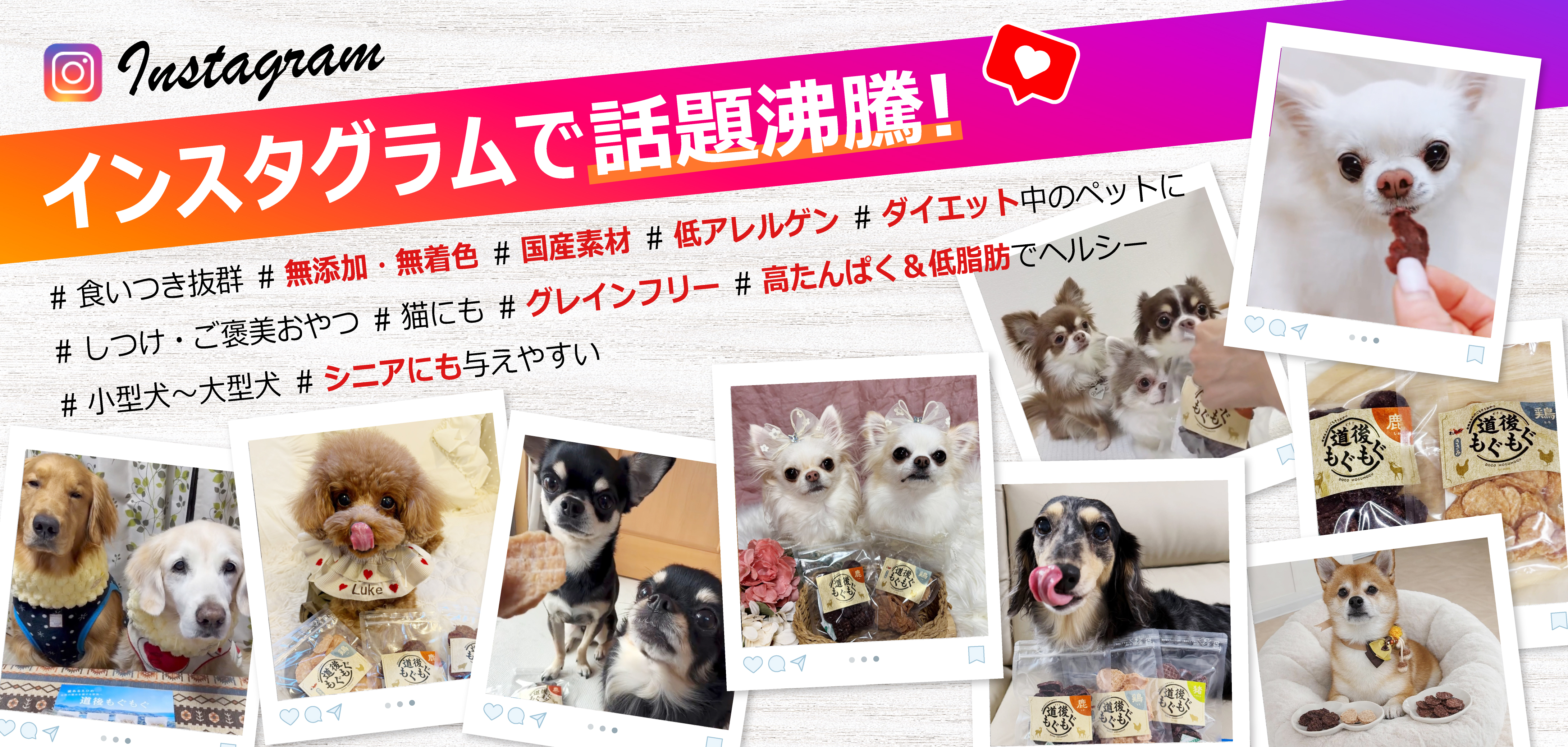 インスタグラム