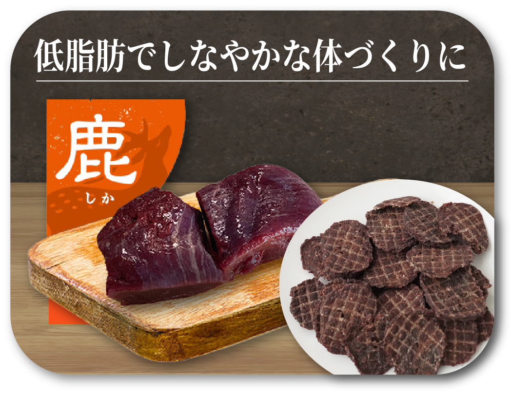 低脂肪でしなやかな体づくりに